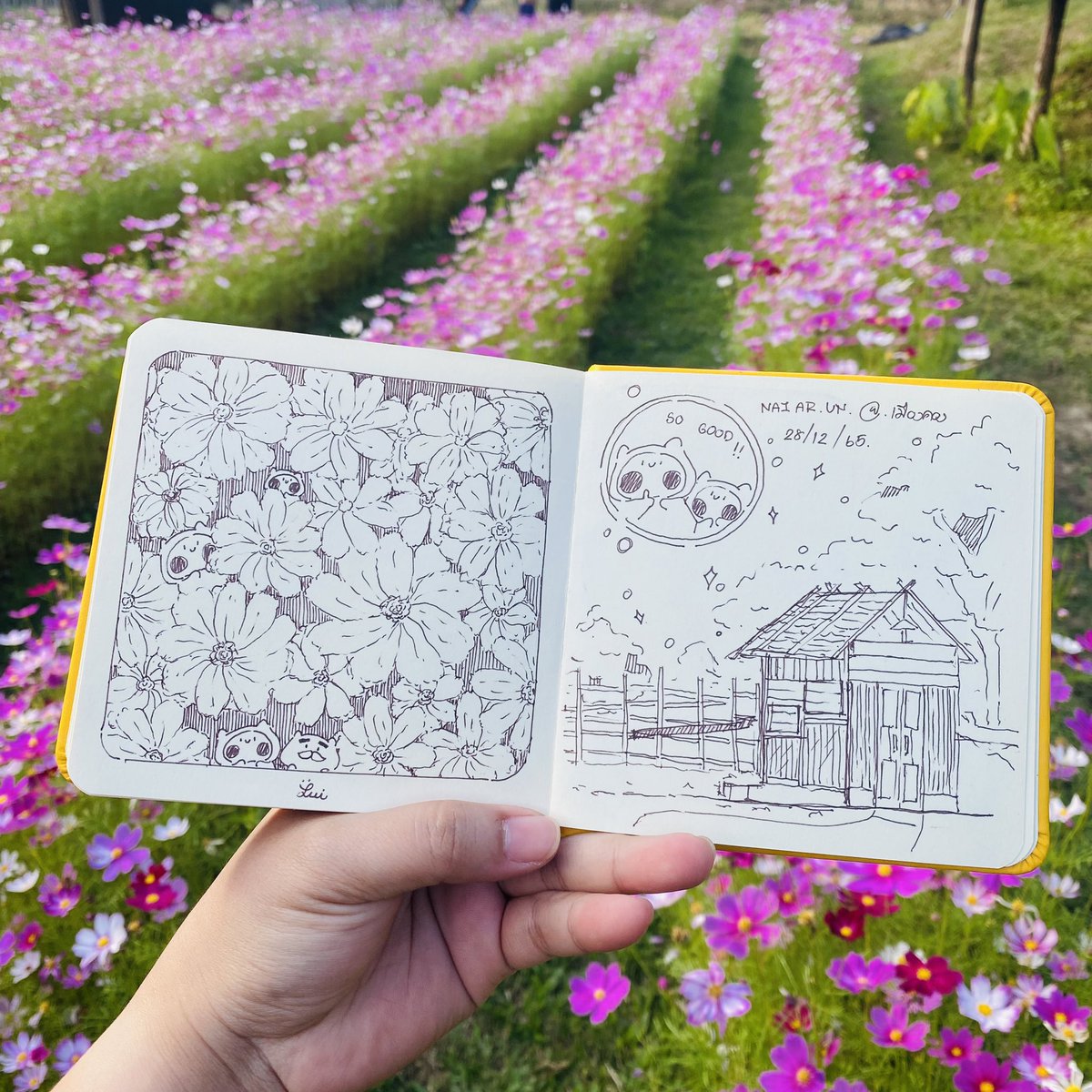 งานสเก็ตก็คือ 0 แต่ถ้าวาดดอกไม้ก็ได้อยู่นะคะ ☺️💕💕 อะดีตะฟาร์ม เมืองคอง เชียงใหม่ น่ารักมากกกก 🌟💕 แนะนำ ๆ #sketchbooknaiarun