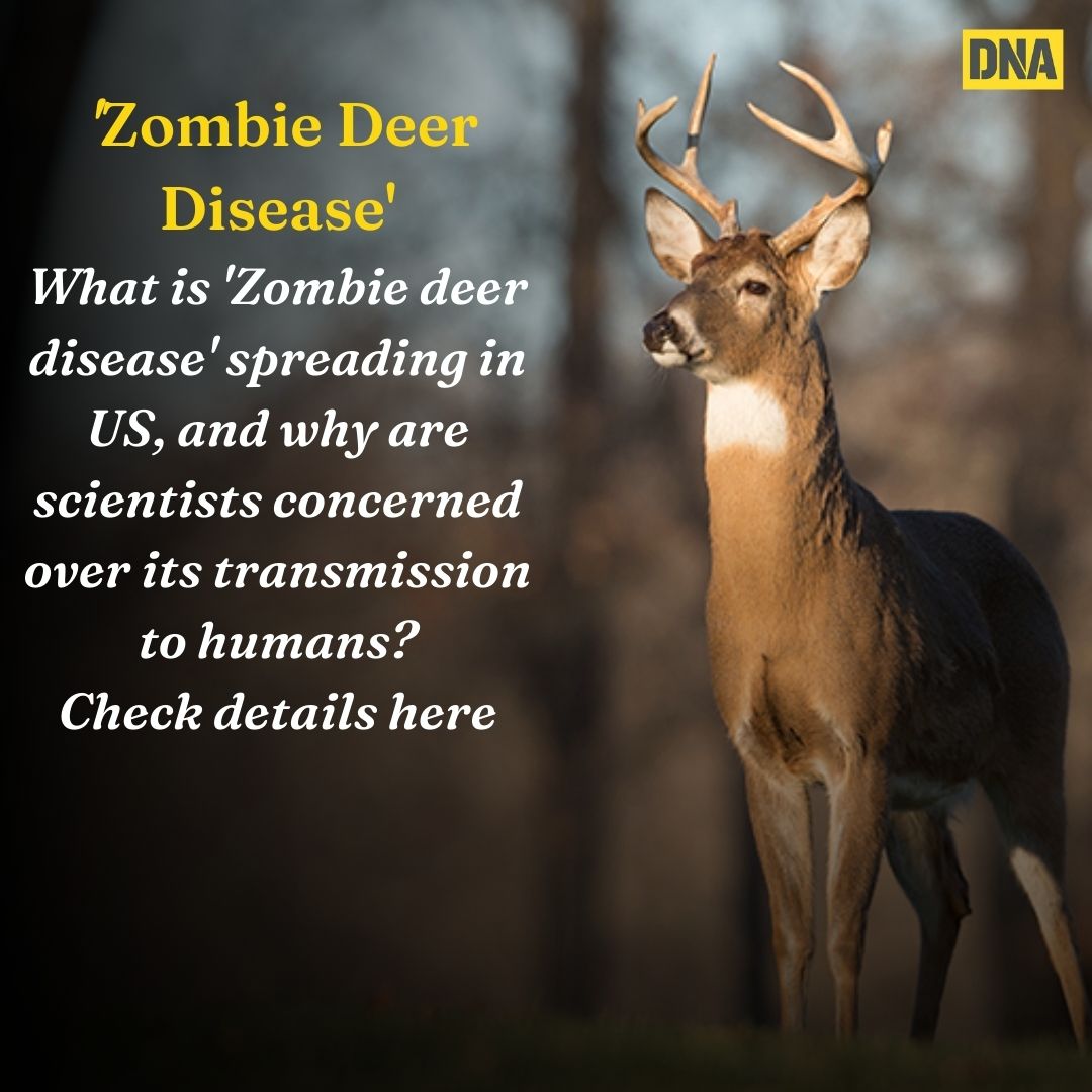 Scientists in the US have warned that #ChronicWastingDisease (CWD) spreading among wildlife across #NorthAmerica, could also transmit to humans

Also known as 'zombie deer disease', the disease leaves animals confused and drooling, and was first discovered in Yellowstone National…