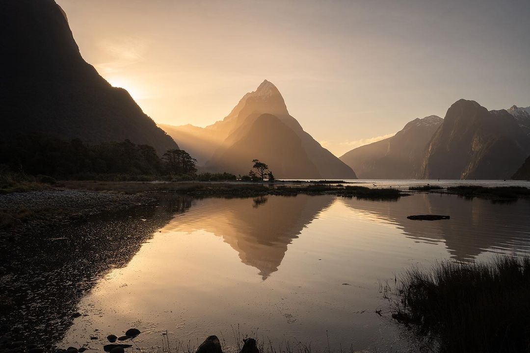 Fiordland NZ tweet media