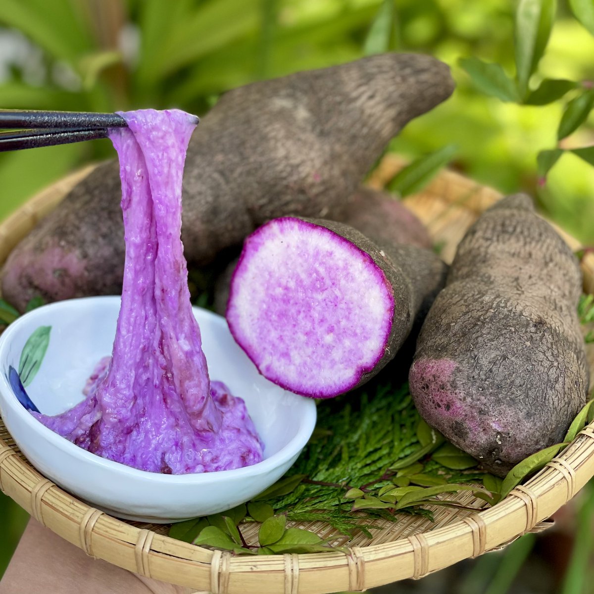 紫山芋のムカゴ 種用 1Kg 23個 - 野菜