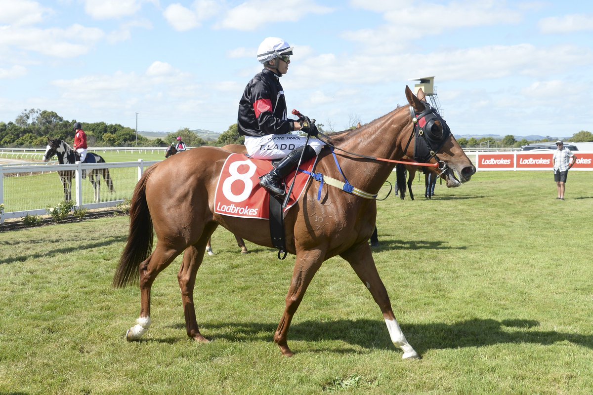 Racing Victoria tweet media