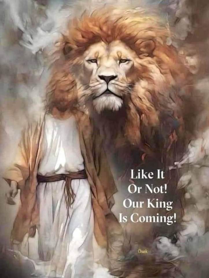 RANDYS777 tweet media