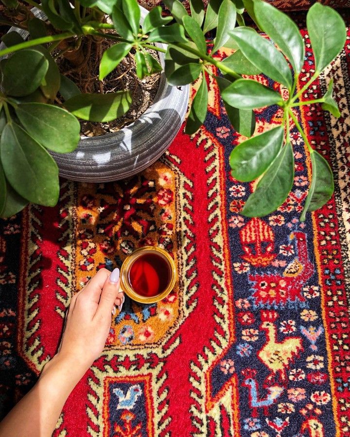 Good Morning
             &amp;
 Happy Friday 
💚❤️☕