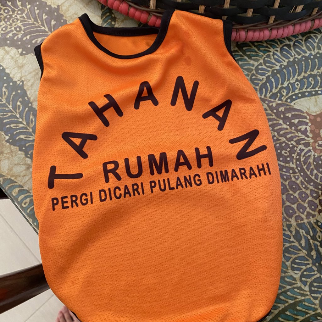 always joe king tweet media