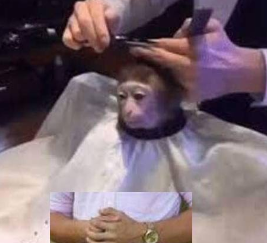 Enguin 🐧 tweet media