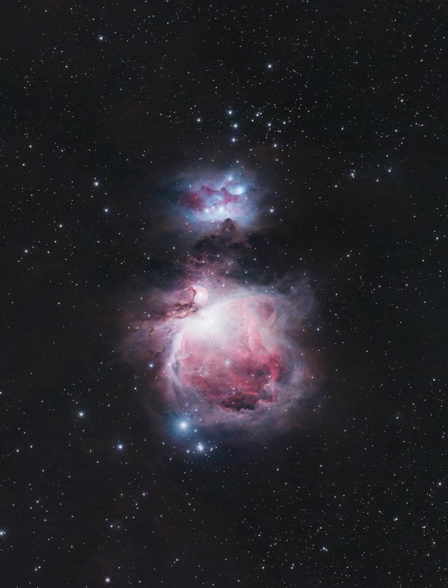 Amazing_Xcience's tweet image. The Orion Nebula using a DSLR and 200mm Lens [by astrobackyard]