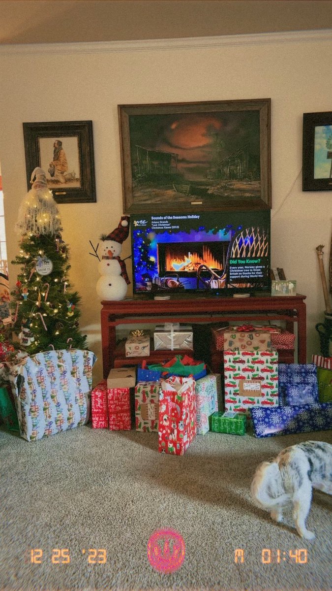 breeanne24's tweet photo. ❤️✨🤍🎄🎅🏼💚 https://t.co/tk8VVdHOaZ