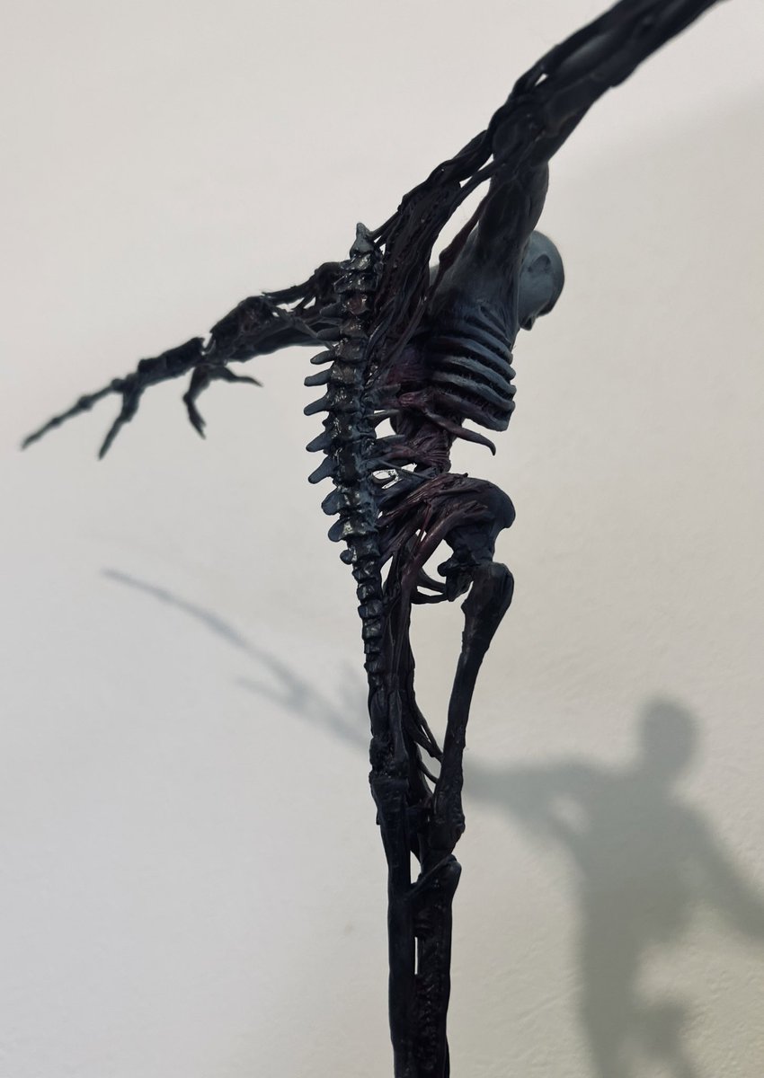 SUGI𓄄 tweet media