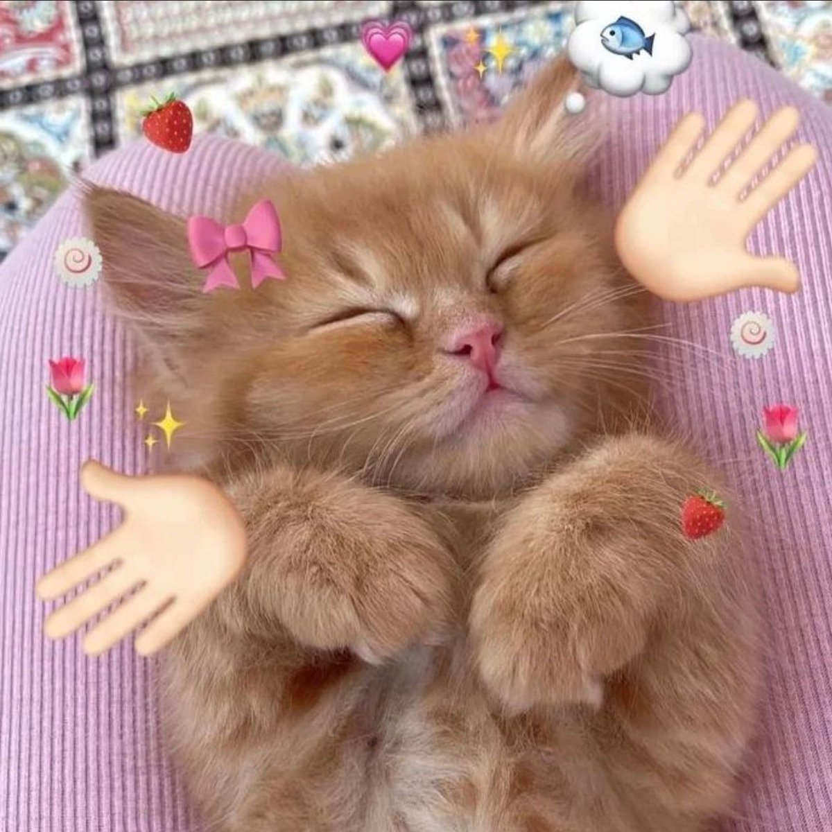 Posts Of Cats tweet media
