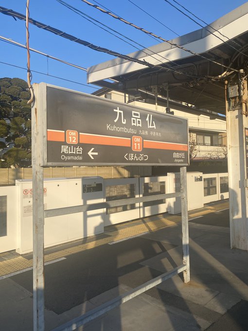 「今日どこに行こうか」  「クマパジャマ着てるから『く』から始まる駅で遊ぼう」  「東京には『く』から始まる駅が9駅あるらしいよ」  「『九品仏』って駅名かっこいいからここ行こう」  。。。  松屋以外の飲食店ほぼやってなかったけど、ノスタルジックな雰囲気が良かったよ🎍