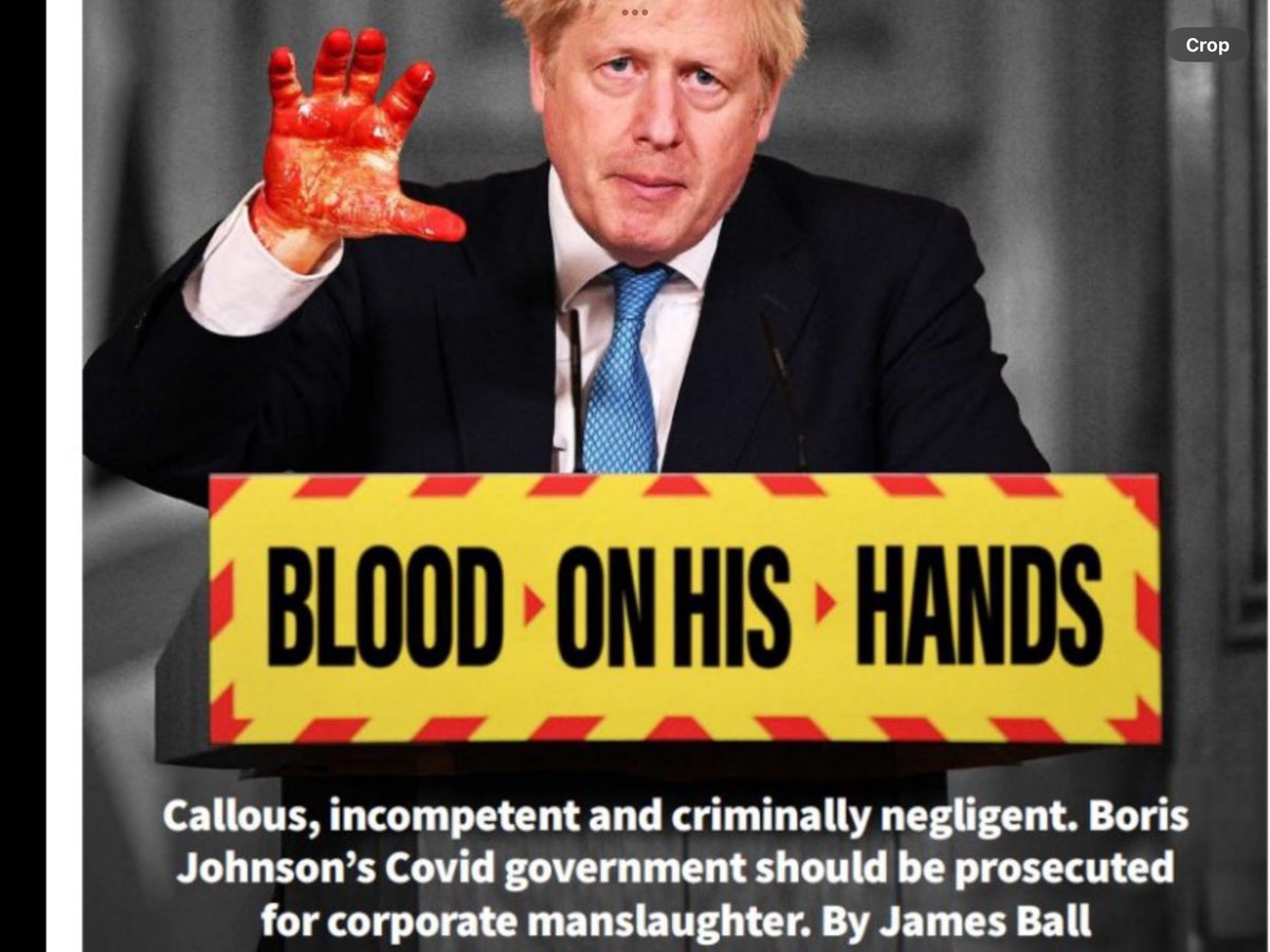 BraidseaQuine's tweet photo. @BorisJohnson #LockJohnsonUp @CovidJusticeUK https://t.co/w6WF0qKFmO
