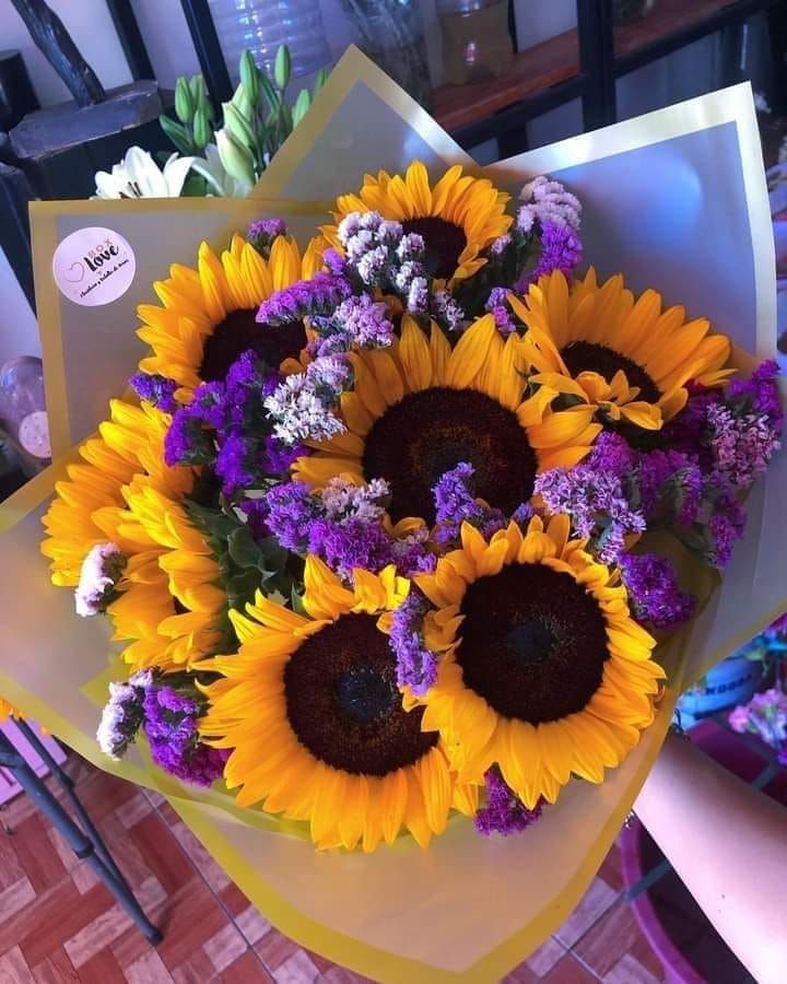 Sunflower_tw_0's tweet photo. my happy flowers https://t.co/Tl8RFWdjcD