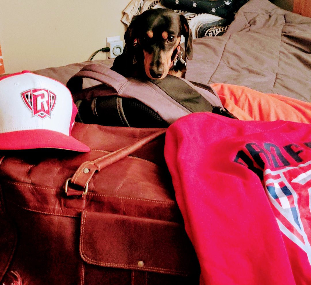 MyDivaDachshund's tweet photo. 🏀R O A D 🏀T R I P 🏀TODAY 🏀
It's Another #RUMBBGameDay
Join us in the Great State of South Carolina as @RadfordHoops takes on @ClemsonMBB Tonight at  #LittlejohnColiseum #RiseandDefend #RickyBobbyandBenji2🏀 https://t.co/2GHMYR5kai