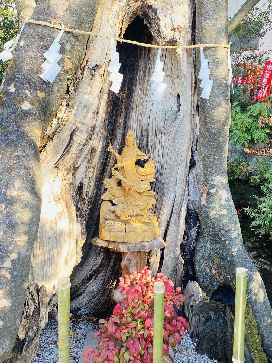 freesiasaki's tweet photo. 開運散歩
年末から年始の金運
辰にちなんだ神社と金運神社⛩️

明日は吉祥寺年末最後の鑑定になります^_^

#秩父 #辰年 #龍神観音 #神社参拝 #九星気学 #手相鑑定 https://t.co/1xYXoRLLjB