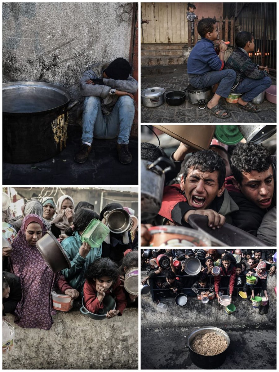 embpalestina tweet picture