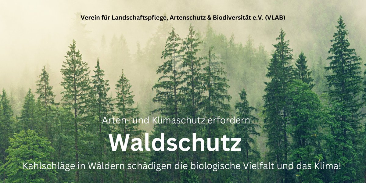 Wir wünschen ein schönes Wochenende und kommen Sie gut in das neue Jahr!
In den kommenden Monaten liegt unser Fokus auf dem Waldschutz – eine Herzensangelegenheit. 🌳💚
#Waldschutz #Nachhaltigkeit