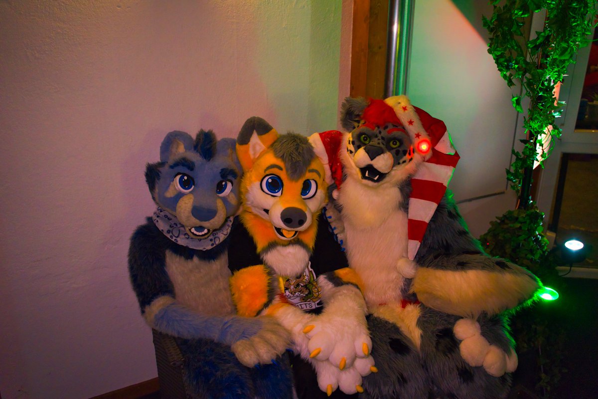 Happy last #FursuitsFriday for 2023

cuddles with <a href="/KhatuLion/">Khatu ❄️</a> and <a href="/Marty_Snep/">Marty</a> 

📸<a href="/BlackspotYeetah/">Blackspot-Yeetah</a>