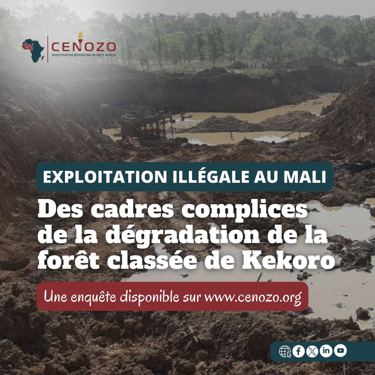 #NouvelleEnquête #NewStory
Au #Mali, des individus tapis dans l'ombre des pouvoirs publics encouragent des exploitants miniers illégaux chinois à détruire la forêt classée de #Kekoro, à la recherche de l'Or. Les agents publics qui s'opposent ou qui combattent la pratique sont