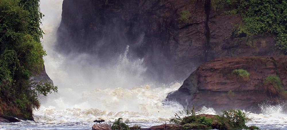 MURCHISON FALLS NATIONAL PARK (NEW YEARS HOLIDAY: 5 Days, 4 Nights New Years in The Wild Experience, for departure dates, costs and itinerary, kindly visit us at visituganda.tours/Special-Tour/S… Call/Whatsapp +256-778-307060/755-200004