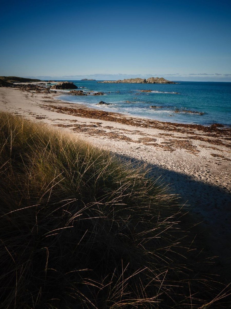 National Trust for Scotland tweet media