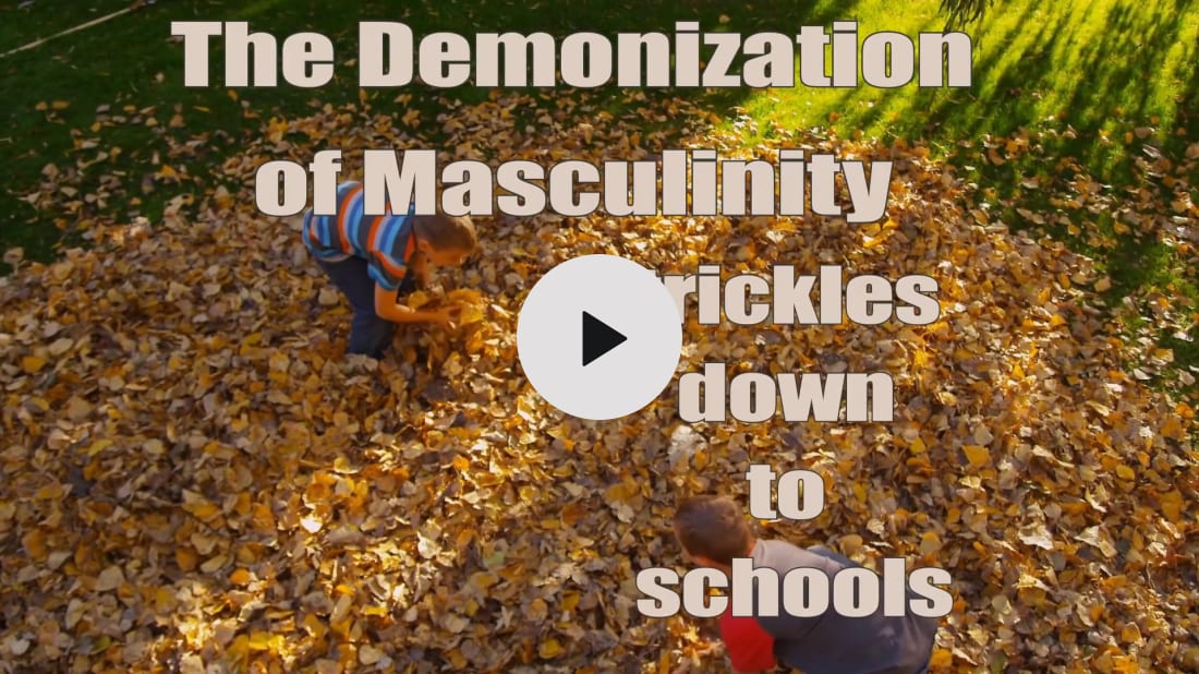 'Research showed that playful boys, exuberant, funny, likable boys were singled out by the teachers in 1st grade and by 3rd grade their classmates had changed their positive opinion of them as playmates to negative'

The Demonization of Masculinity, by @trgolden