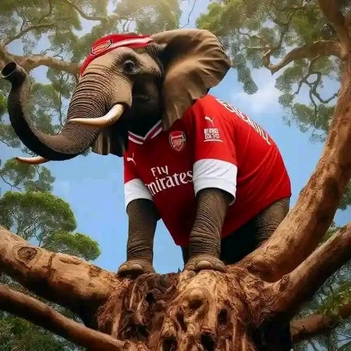 Kimrofreelancer's tweet photo. Arsenal fans in Westlands, get ready for a matchday experience like never before! Nyako and Kairo are set to elevate the atmosphere. And for a hassle-free journey, why not soar with Skyward Express? ⚽✈️ Let the football frenzy begin! #ArsenalFans #WestlandsVibes #SkywardExpress" https://t.co/sQDJRz20Bn