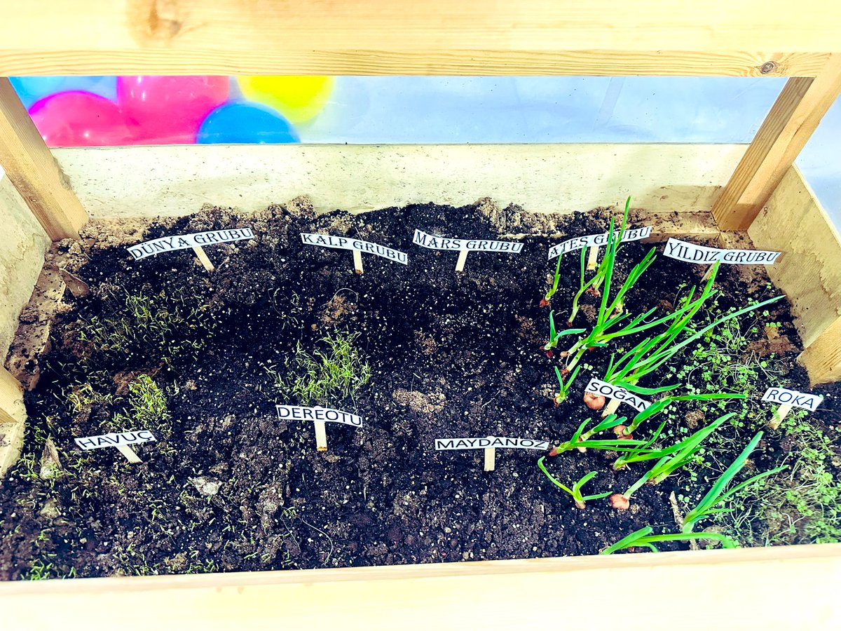 Ubi 🧑‍🚀ve Tubi🧑‍🚀 ile yaptığımız iş birliği ile Stem Junior "Yeşil Dünyamız" temamızdaki projemizin sonuna yaklaştık.🪴🪴🪴#StemGelecektir #bahçeşehirkoleji <a href="/mturanoznacar/">Mehmet Turan ÖZNACAR</a> <a href="/mserhankal/">Serhan kal</a> <a href="/cuneytd1/">cüneyt dostoğlu</a> <a href="/BkOmerli/">BK Ömerli Kampüsü</a>