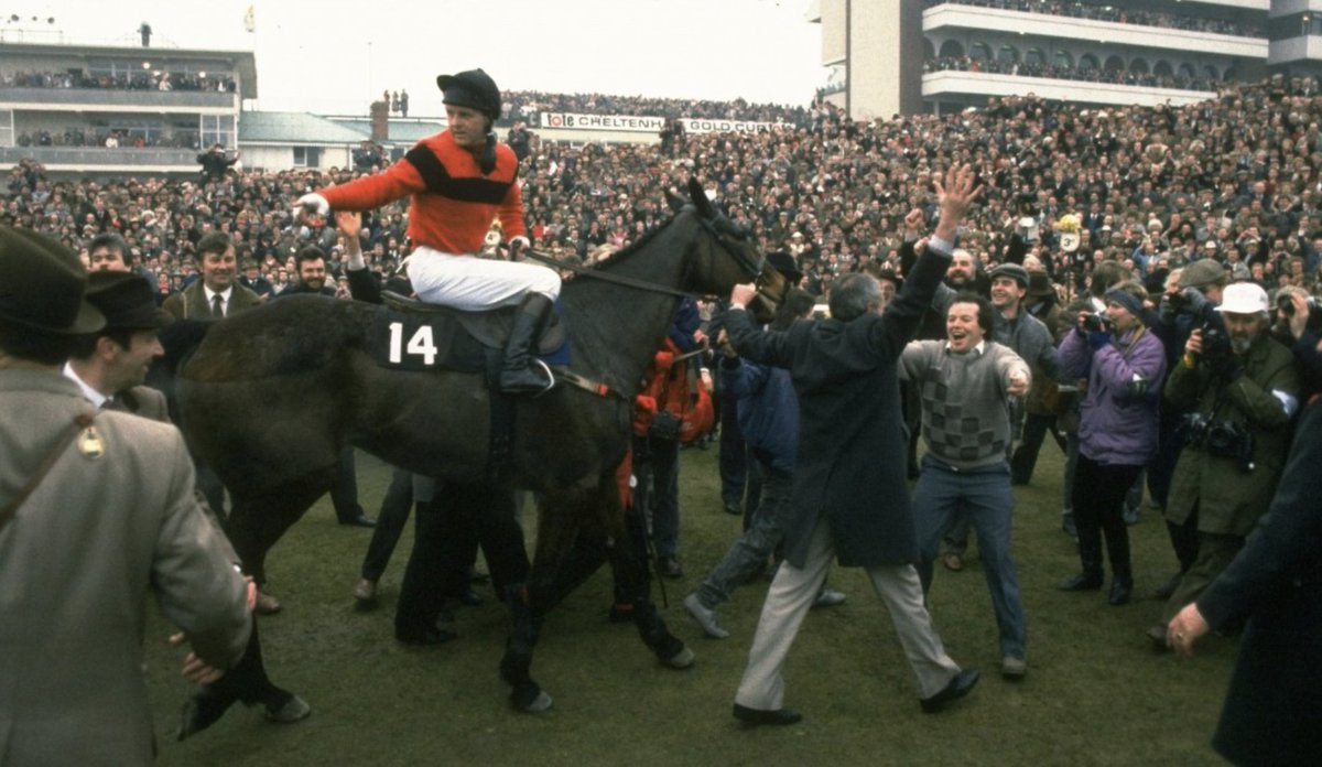 HORSE OF THE DAY - DAWN RUN ❤️🖤 Dawn Run was foaled in 1978 in County Cork, Ireland and sold for 5,800 guineas at auction to Charmaine Hill. Sent to Paddy Mullins to be trained, she ran her first race at Clonmel in a National Hunt flat race. She failed to win on her debut but…