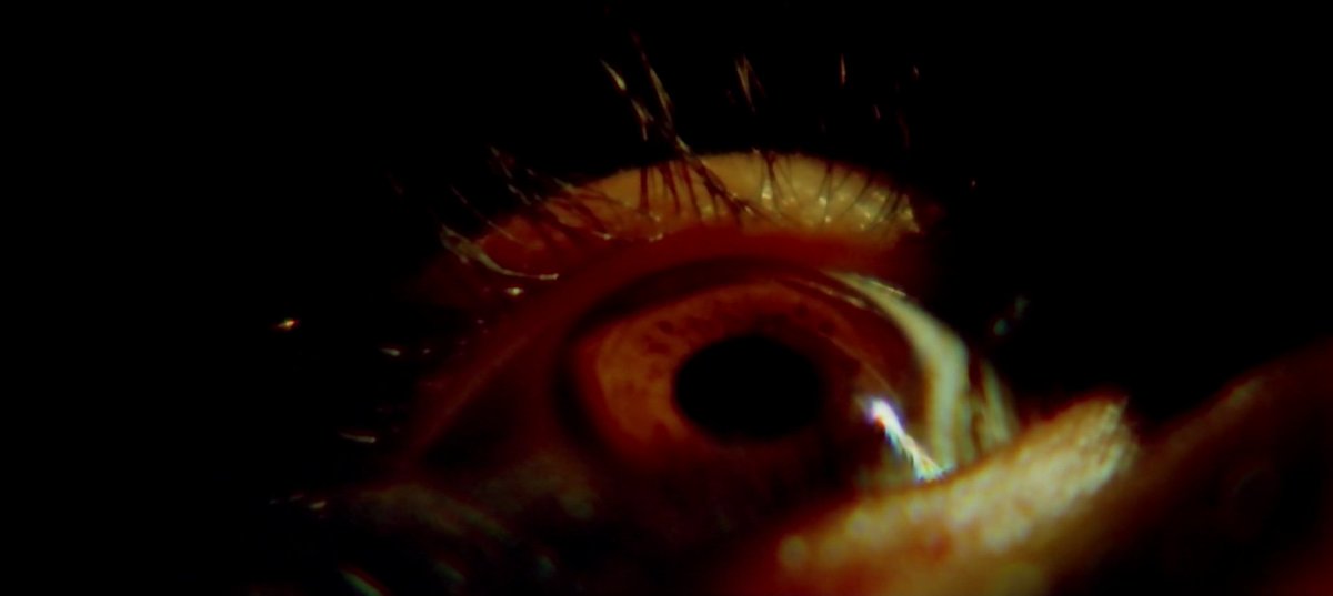 AestheticsofTC's tweet photo. Anukokunda Oka Roju (2005)
dir. Chandra Sekhar Yeleti. https://t.co/1UCpcmkSM8