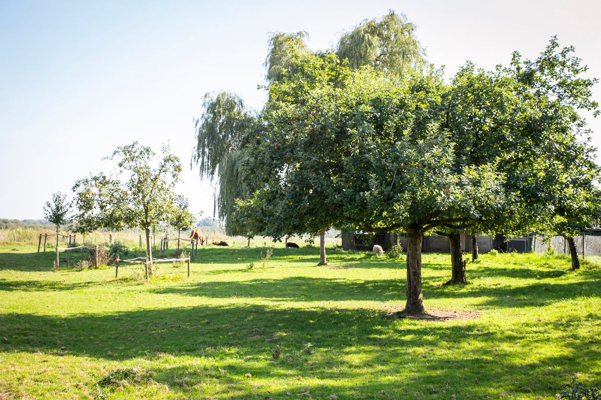 Wie kent haar niet: Louise Vet. De ecoloog die onvermoeibaar strijdt voor meer biodiversiteit. Die boeren aanspoort natuur te integreren in hun bedrijfsvoering en overheid aanspoort landschappelijke versterking. Een interview met een vrouw met een missie buff.ly/3TyT0wo