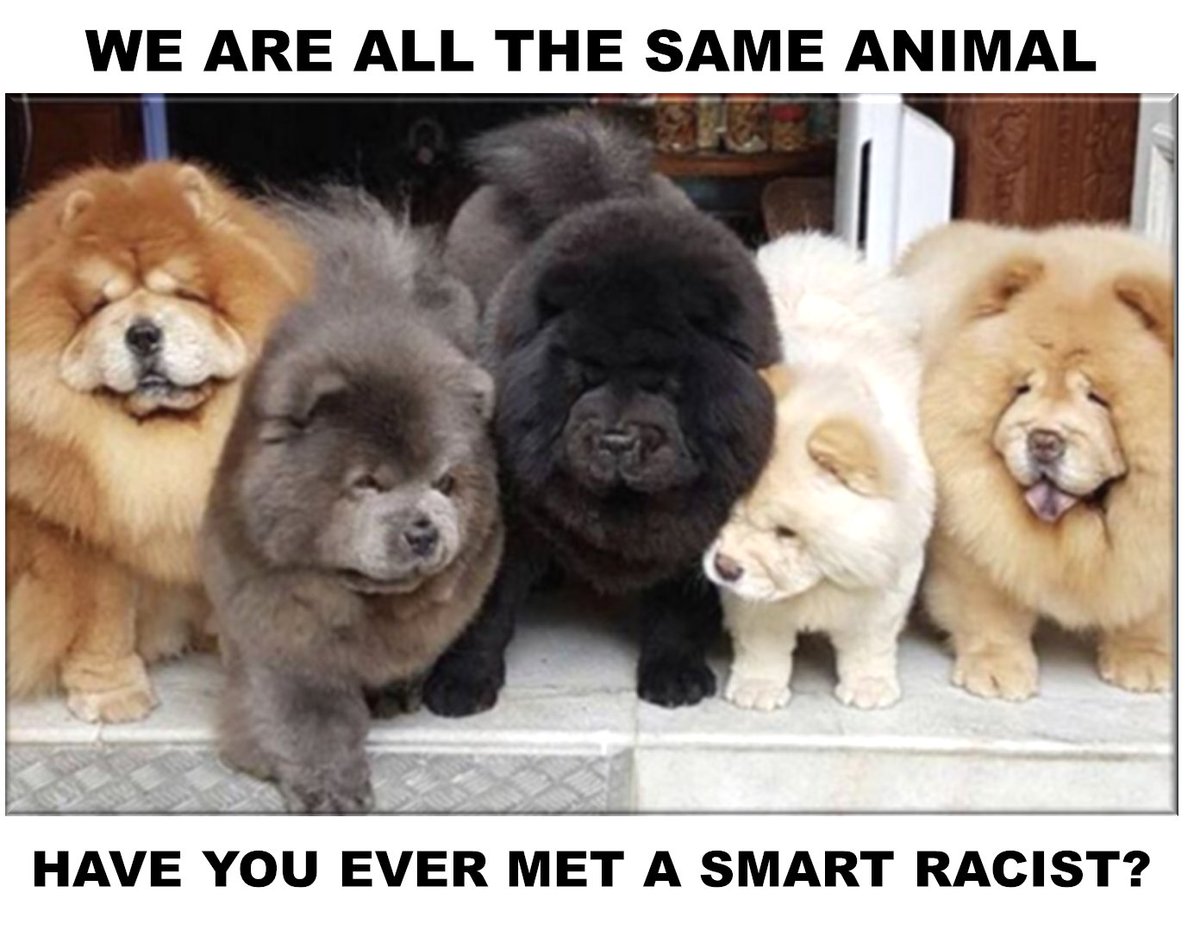 mr_internet's tweet image. #NeverHave .. #RacismIsStupid