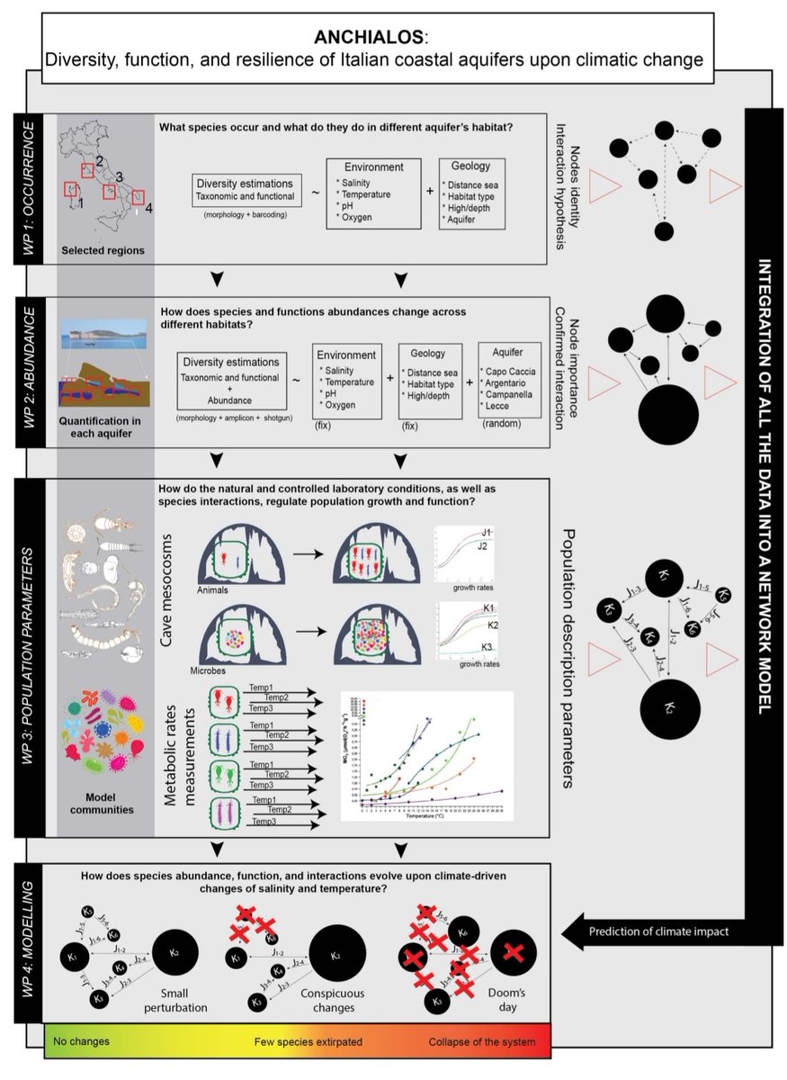 Interested in theoretical ecology, (meiofauna) biodiversity, field experiments, and coastal aquifer's functioning? Just opened a 1.5 years #prin postdoc position at #cnr @MEG_Verbania contact me for further information