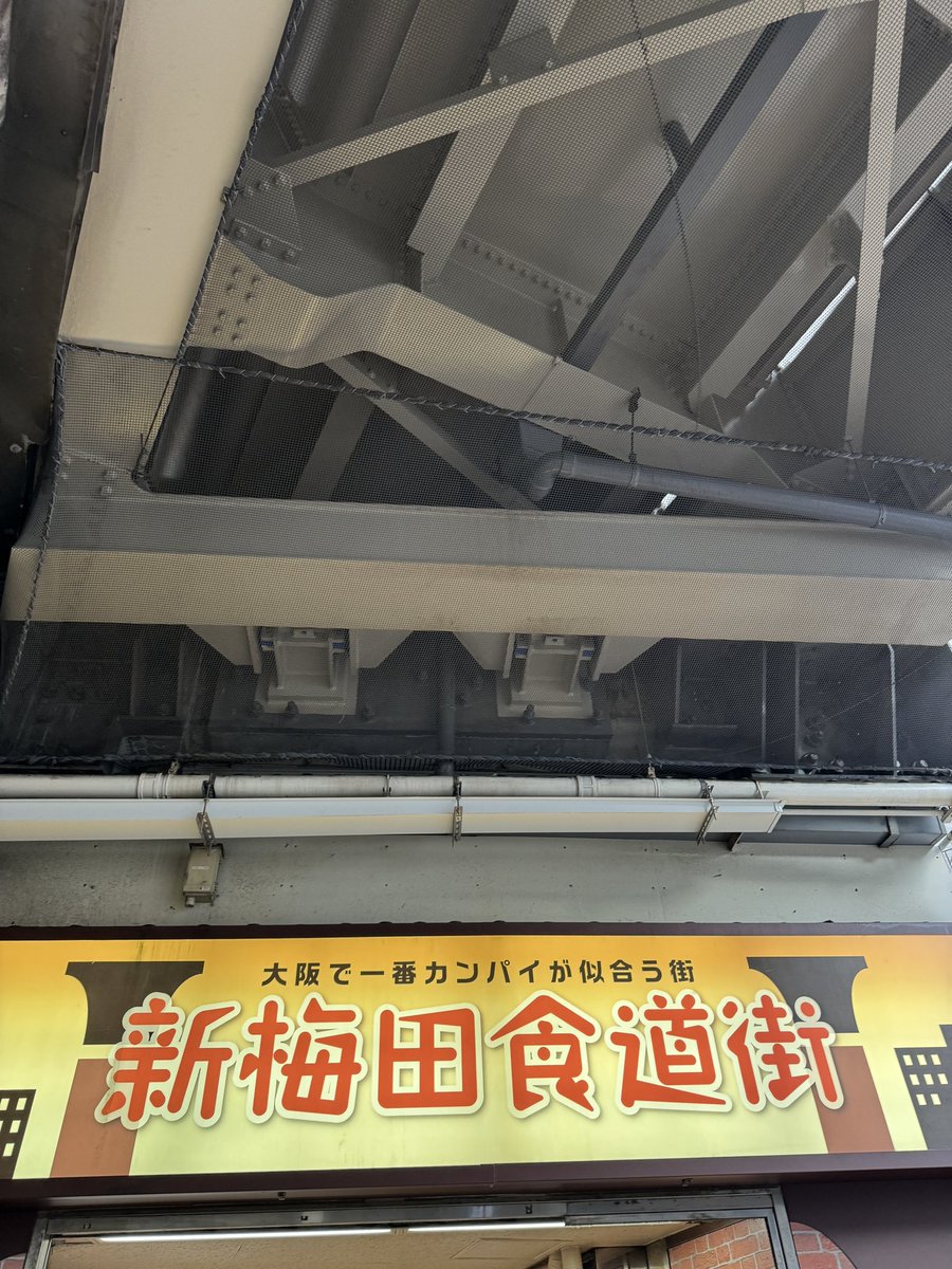 nine9_nine99's tweet image. おはようございます.*˚🍀 ̖́-
皆に届け•*¨*•.¸ #大阪の癒しスポット
#はなだこ  #たこせん 🐙🐙🐙