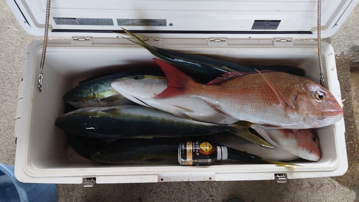 正月用の鯛を釣りに行ってきた 青物が邪魔で鯛2枚しか釣れなかった 寒いし海大荒れだし辛かった 寒いの嫌いだから中止になってほしいって気持ち6割ある でも船乗ると全力で遊んじゃう