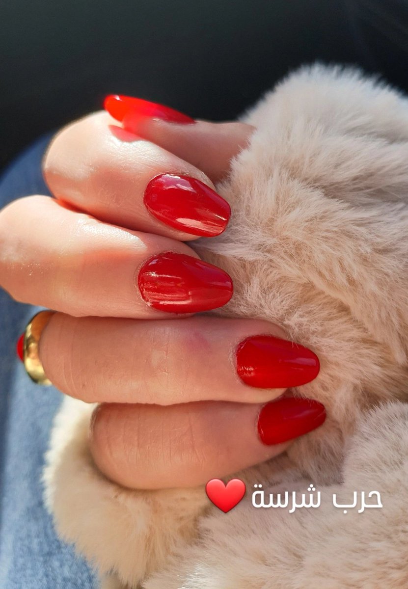 بعض قصص الحب
تبدأ ب لعبة وتنتهي ب حرب
اما قصتي معك !!
 بدأت ب حرب شرسة لا تنتهي ...
#ميراي
#همسات_حب