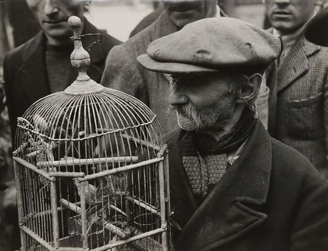 Bird market, Paris, ca. 1950 - by Sanford H. Roth (1906 - 1962), American