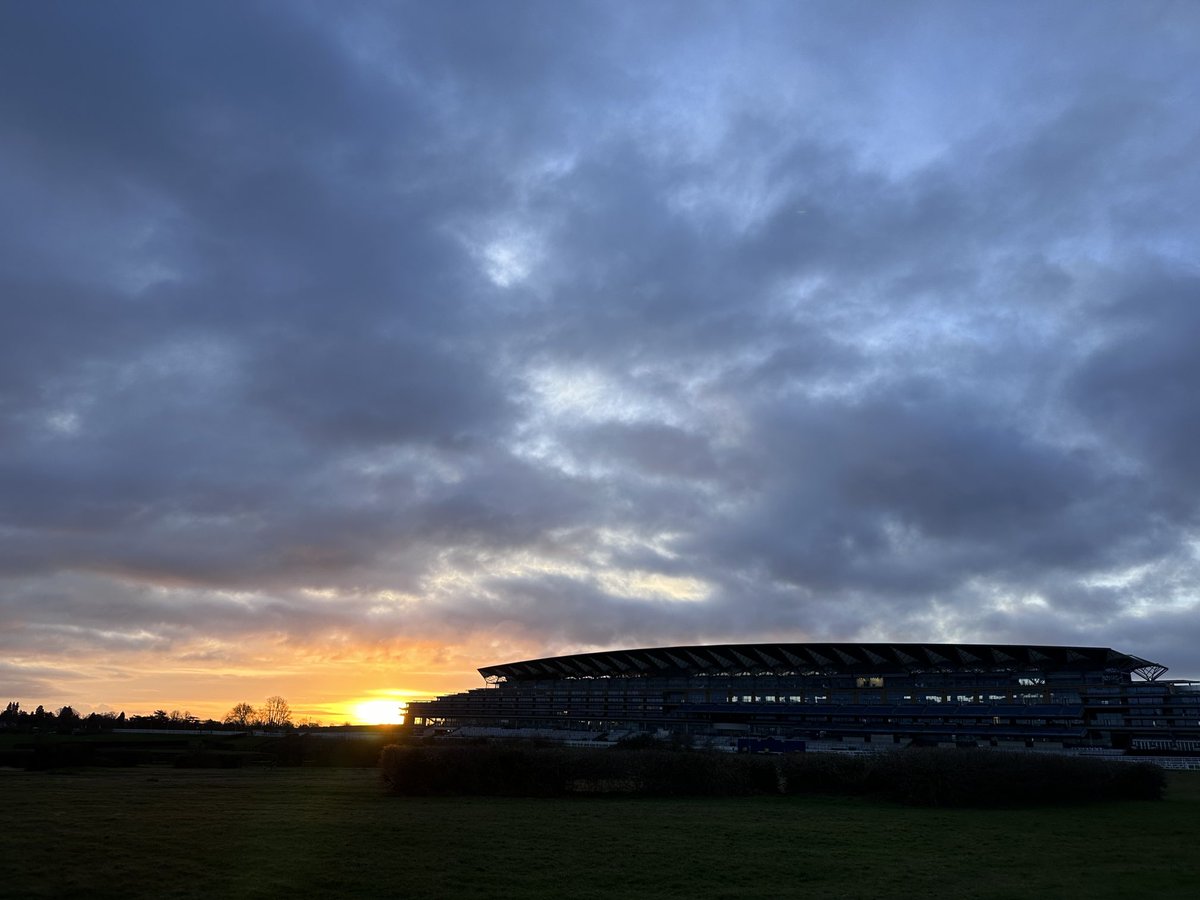 A couple from the heath this morning