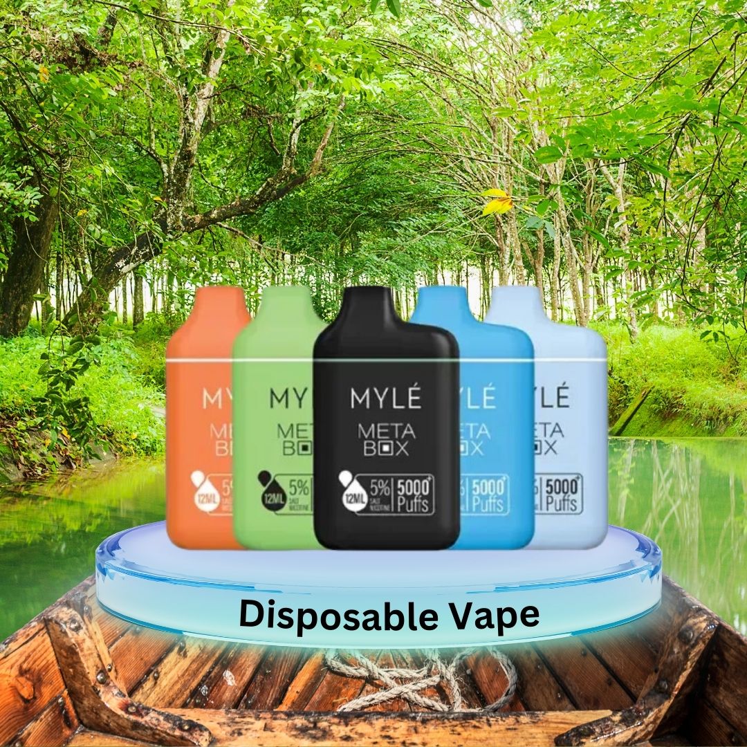 Best Disposable Vape Shop In Vape Dubai King

Web Link: vpdubaiking.ae/product-catego…

#vapedubai #vapeuae #disposablevape #buydisposable #buyvape #mylevape #elfbar #tugboatvape #maskkingvape #caliburnvape #podsalt #vozolvape #fummovape #stigvape #mickovape