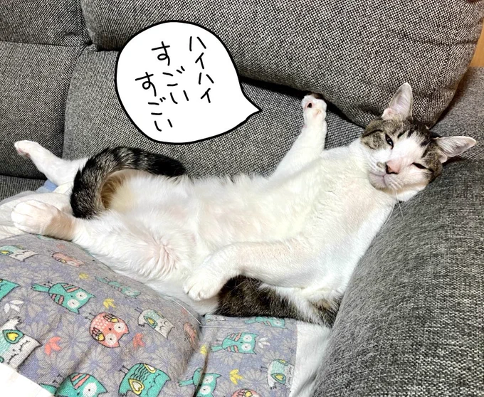 今日は段ボールと息子の古い教科書捨てに行ってお布団干して換気扇とキッチン周りガッツリ掃除してこれから夕飯作るのでユキヨはもう少し褒め称えられても良いと思う 