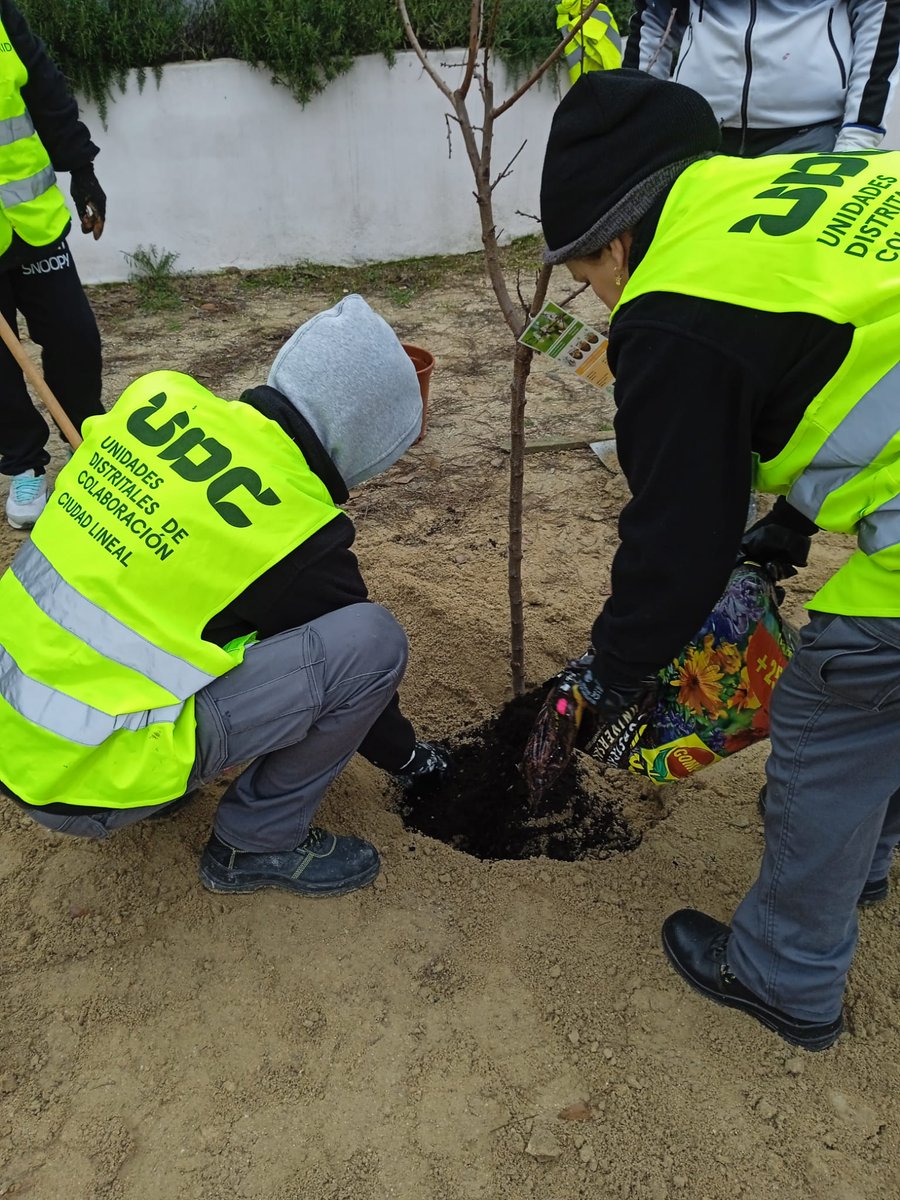 UDCCiudadLineal's tweet photo. https://t.co/j2gHr8PTdS