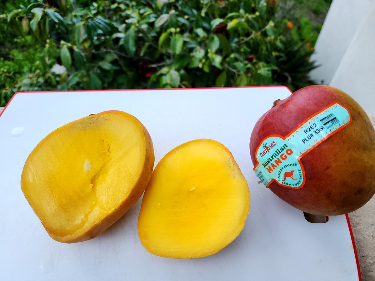 Foodfaye's tweet image. No cheese to make your cheesecake? No problem! I made mine with Greek yogurt. It worked perfectly! The topping is made from delicious Australian mangoes from @MelissasProduce. Cake has a ginger cookie &amp;amp; walnut crust. 
#twitterbakealong #festivebakes
@Rob_C_Allen
@thebakingnanna1