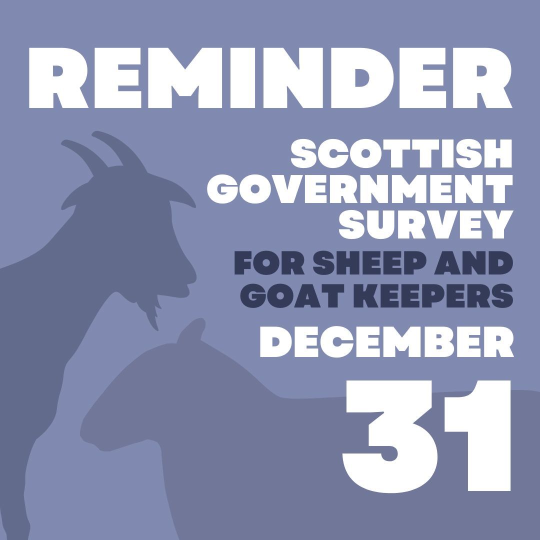 NFUStweets's tweet image. REMINDER: Registered sheep and goat keepers must complete the Scottish Government survey by the December 31. 

Full guidance can be found here: buff.ly/484eCoW 
#Scotgov #NFUScotland #ScottishFarming