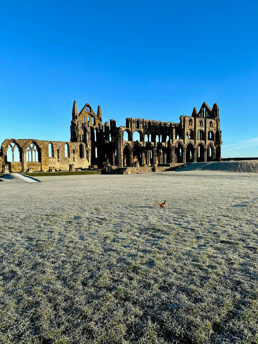 Looking for some peace and quiet following a busy Christmas? 🎄 Whitby is the perfect place to find it! Why not squeeze in one last day out before the new year? ✨