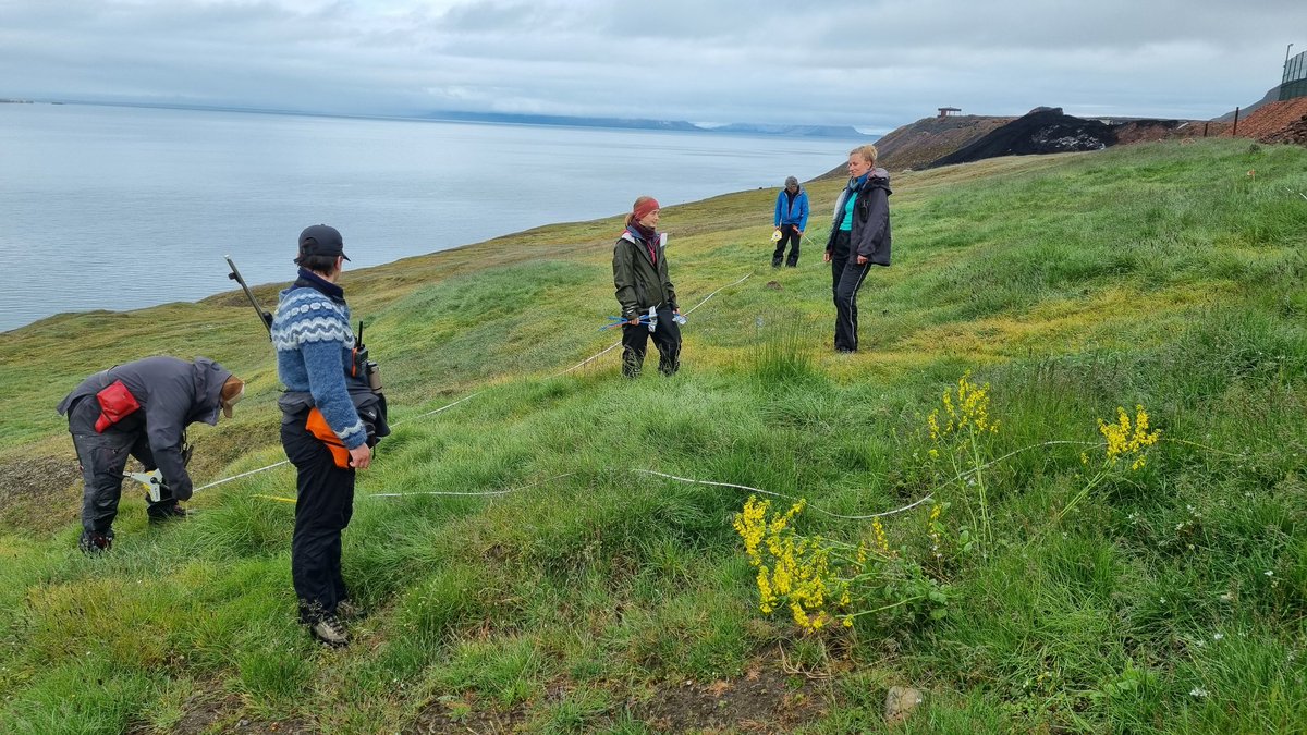📢 PhD opportunity
Genomics of Arctic alien plants 🌱👽

Fully funded position at the Department of Natural History <a href="/NTNU/">NTNU</a> <a href="/Vitenskapmuseet/">Vitenskapsmuseet</a>

Come join our great interdisciplinary team!
Find out more and apply by Jan 21st 👇
jobbnorge.no/en/available-j…