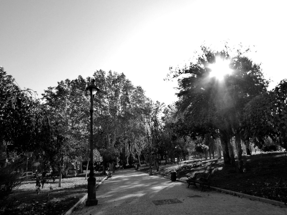 'La política es muy culpable del enfrentamiento de la gente. Esa histeria en la que viven se traspasa.' @ElPedroRuiz #myPhoto el parque de los patos #CordobaEsp