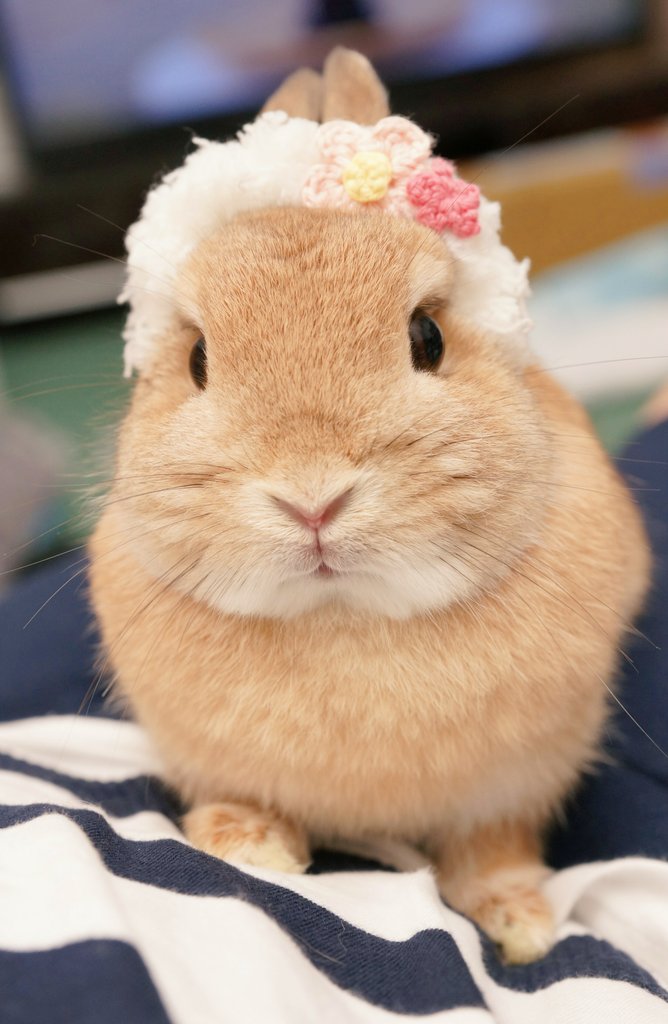 nao〜☆ (@evo3183) / Posts / X