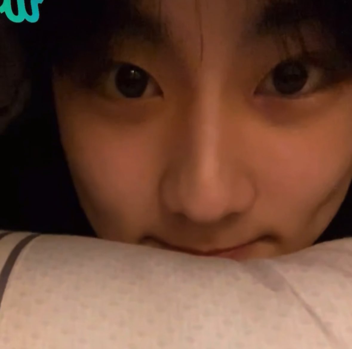 dobooboy's tweet photo. 냥🐾 https://t.co/PmdCNLHNUc