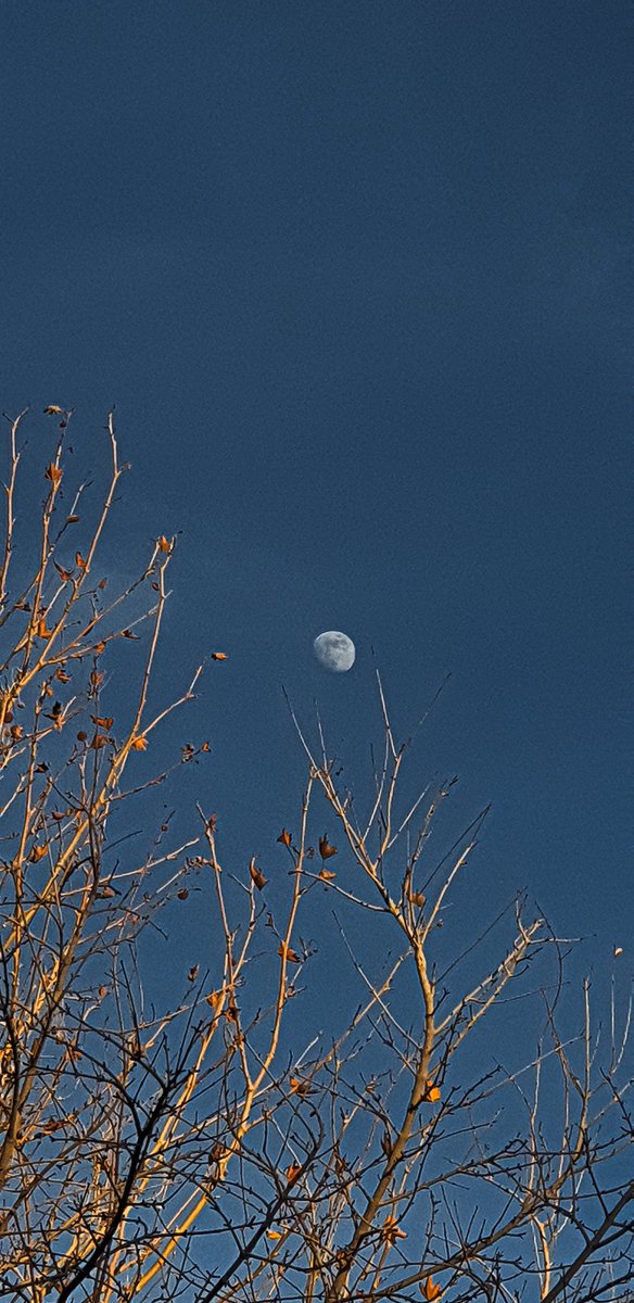 wthbiyaa's tweet photo. Once you start adoring nature...eeeee there is no going back https://t.co/pmS2AjhQbz