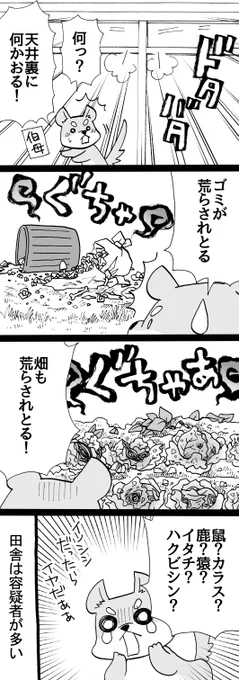 四コマ「祖父んちの隣人が多頭飼育崩壊した話5」  実際、犯人は猫じゃなかったかもしれません。  #四コマ漫画 #御かぞくさま御いっこう