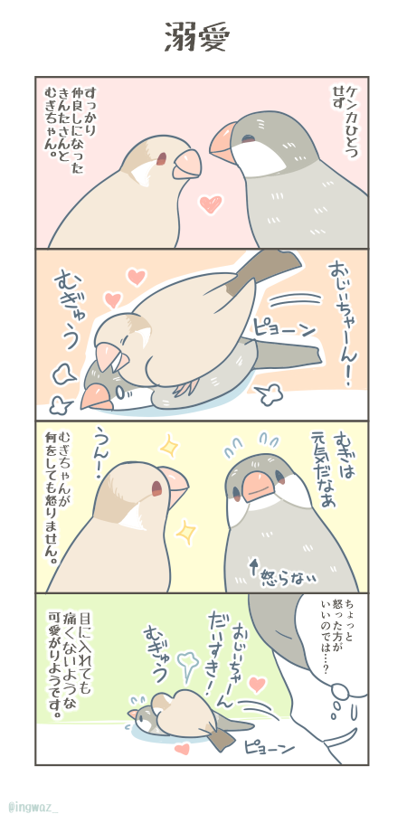 溺愛。  #漫画が読めるハッシュタグ #Buncho #文鳥